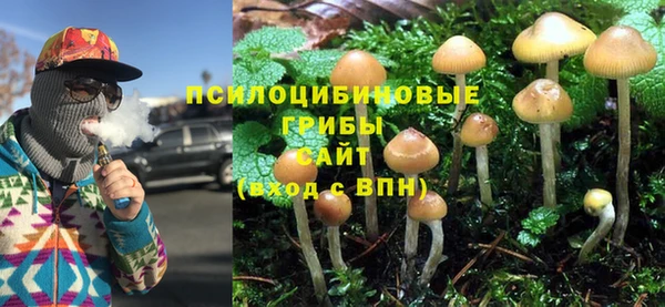 ECSTASY Вяземский