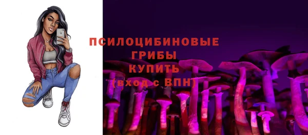 первитин Вязьма
