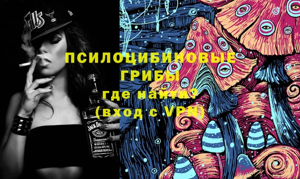 ECSTASY Вяземский